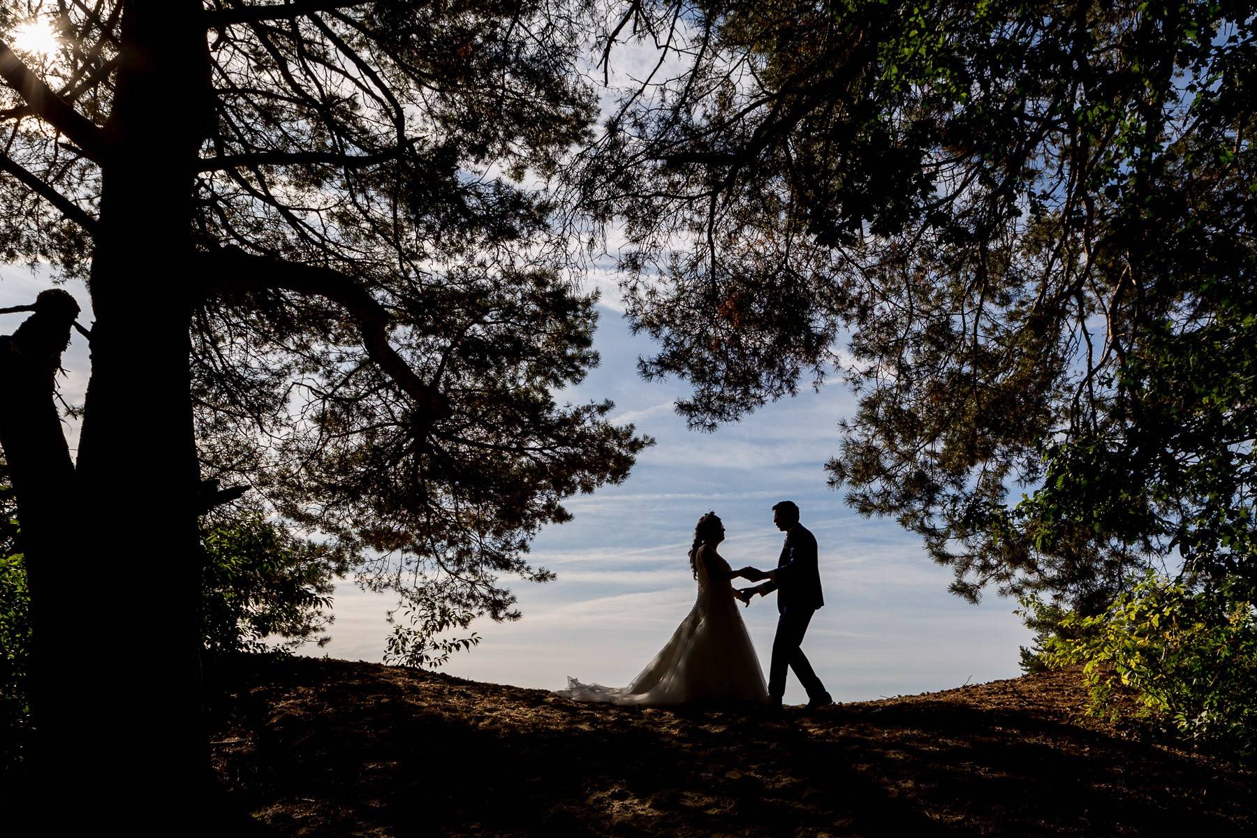 WIJ Fotografie Amersfoort | Wijgert IJlst
